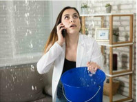 Hampden County Water Damage Solutions (1) - Υπηρεσίες σπιτιού και κήπου