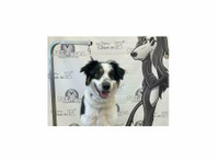 PETicures Professional Dog Grooming (2) - Pet services