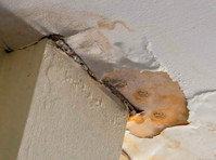 Mold Remediation Solutions of Monroe (1) - inspeção da propriedade