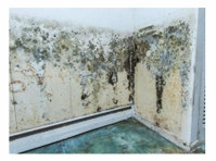 Floyd County Pro Mold Solutions (2) - Домашни и градинарски услуги