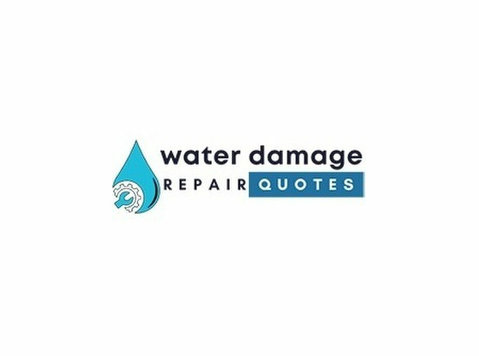 Titletown Water Damage Solutions - Mājai un dārzam