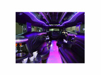 Tampa Party Buses - The best in Florida (1) - Autopůjčovna