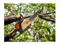 Etiwanda Falls Tree Experts (2) - Maison & Jardinage