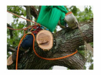 Etiwanda Falls Tree Experts (3) - Haus- und Gartendienstleistungen