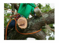 Little Sneedville Tree Services (3) - Домашни и градинарски услуги