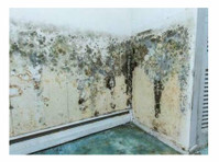 Exemplary Columbus Mold Removal (1) - Υπηρεσίες σπιτιού και κήπου