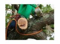 Lights and Flowers City Tree Service (2) - Home & Garden Services