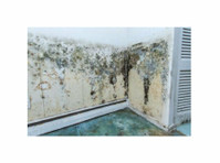 Hampden County Mold Solutions (2) - Дом и Сад