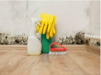 Monterey Park Magnificent Mold Removal (2) - Home & Garden Services