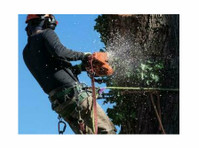 Old Town Spring Tree Service (2) - Gardeners & Landscaping