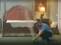 Pure Maintenance Mold Remediation – Orlando (7) - Usługi w obrębie domu i ogrodu