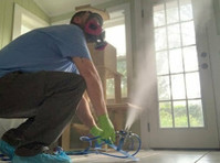 Pure Maintenance Mold Remediation – Orlando (8) - Home & Garden Services