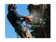Tree City Remodeling Specialists (2) - Строителство и обновяване