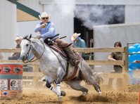 no Reins Performance Horses Llc (1) - Opieka nad zwierzętami