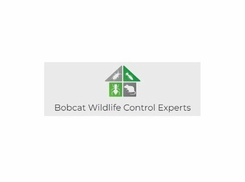 Bobcat Wildlife Control Experts - Home & Garden Services