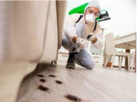 Baton Rouge Pest Control Pro's (3) - Υπηρεσίες σπιτιού και κήπου