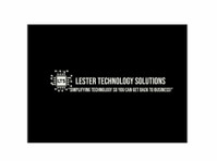 Lester Technology Solutions (1) - Poradenství