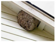 Iowa Pro Pest Control (1) - Usługi w obrębie domu i ogrodu
