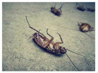 Iowa Pro Pest Control (2) - Serviços de Casa e Jardim