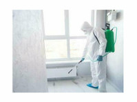 Bryan Mold Removal Solutions (2) - Куќни  и градинарски услуги