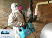FDP Mold Remediation of Miramar (2) - Cleaners & Cleaning services