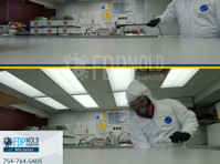 FDP Mold Remediation of Miramar (3) - Cleaners & Cleaning services