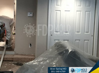 FDP Mold Remediation of Silver Spring (1) - Cleaners & Cleaning services