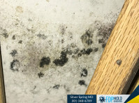 FDP Mold Remediation of Silver Spring (2) - Cleaners & Cleaning services