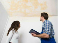 Water Damage Experts Of Pirates Cove (1) - Building & Renovation