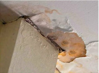 Water Damage Experts Of Pirates Cove (2) - Building & Renovation