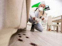 Solano County Pest Services (3) - گھر اور باغ کے کاموں کے لئے