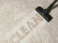 Tampa Carpet Cleaning Fl (3) - Curăţători & Servicii de Curăţenie