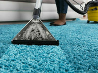 Tampa Carpet Cleaning Fl (4) - Siivoojat ja siivouspalvelut