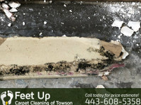 Feet Up Carpet Cleaning of Towson (6) - Servicios de limpieza