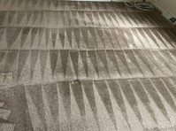 Feet Up Carpet Cleaning of Towson (8) - Limpeza e serviços de limpeza