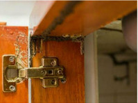 Springdale Termite Control Pros (1) - Inspekce nemovitostí
