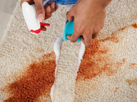 Bergenfield Carpet Cleaning (1) - Хигиеничари и слу