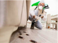 Sunset Pest Control Solutions (3) - Usługi w obrębie domu i ogrodu