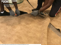 Sunbird Carpet Cleaning Bel Air South (2) - Čistič a úklidová služba