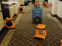 Sunbird Carpet Cleaning Bel Air South (4) - Čistič a úklidová služba
