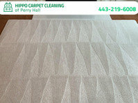 Hippo Carpet Cleaning of Perry Hall (2) - Čistič a úklidová služba