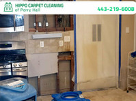 Hippo Carpet Cleaning of Perry Hall (3) - Уборка