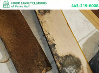 Hippo Carpet Cleaning of Perry Hall (4) - Čistič a úklidová služba