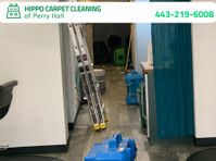 Hippo Carpet Cleaning of Perry Hall (7) - Čistič a úklidová služba