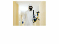 Mold Remediation Reading Solutions (2) - Υπηρεσίες σπιτιού και κήπου
