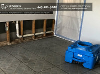 Sunbird Carpet Cleaning Severna Park (4) - Cleaners & Cleaning services