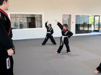 Professional Black Belt Academy (1) - Deportes