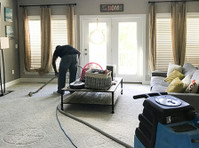 Baltimore Carpet and Upholstery (1) - Servicios de limpieza