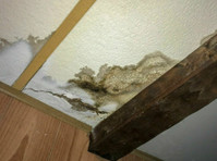 Mold Removal Allentown Solutions (2) - Home & Garden Services