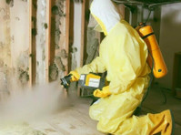 Mold Remediation Devon Solutions (1) - Usługi w obrębie domu i ogrodu